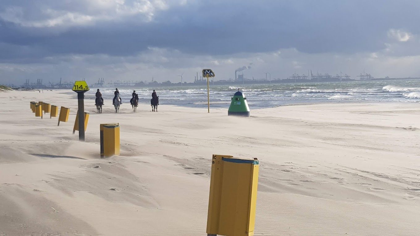 Ruiters op het strand met zicht op de Maasvlakte