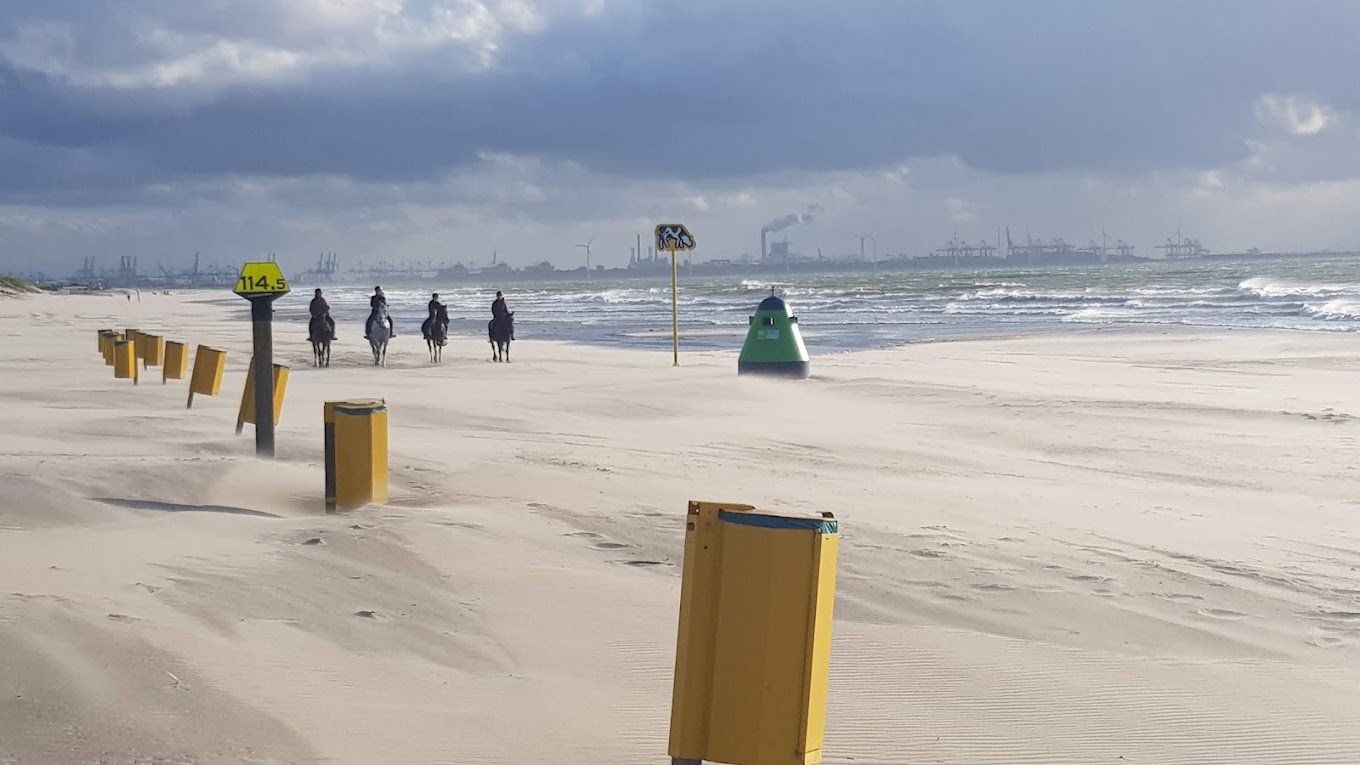 Strandrit